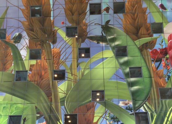 Markthal ceiling with images of vegetables and wheat. 