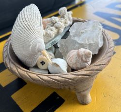 Shells and found beach objects in wooden bowl as memories of vacation to the beach. 