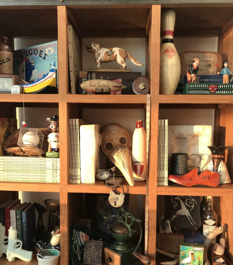 shelves with curiosities