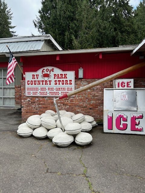 Giant  clam art found on road trip in Washington state. 